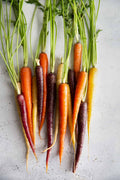 Rainbow Carrots